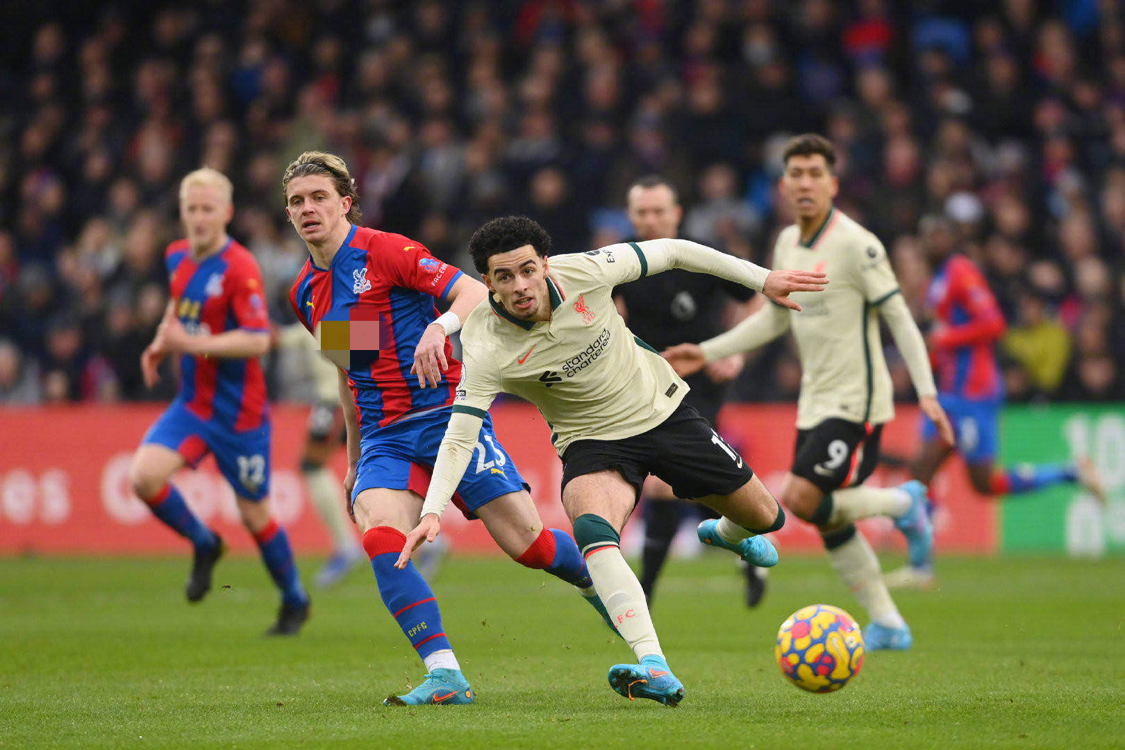 的暫停不僅 的暫停不僅